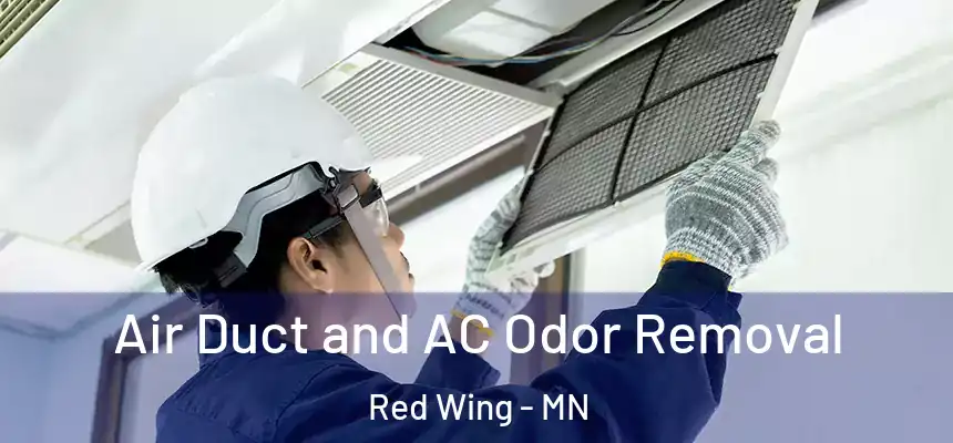  Air Duct and AC Odor Removal Red Wing - MN