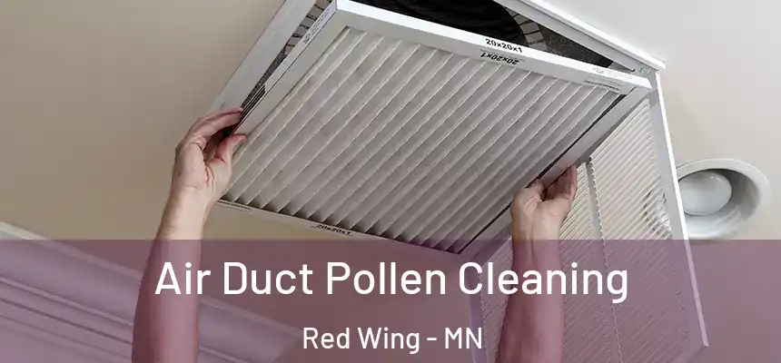 Air Duct Pollen Cleaning Red Wing - MN