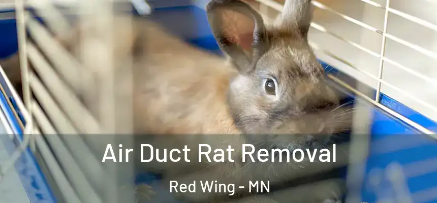 Air Duct Rat Removal Red Wing - MN
