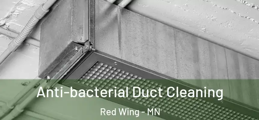  Anti-bacterial Duct Cleaning Red Wing - MN