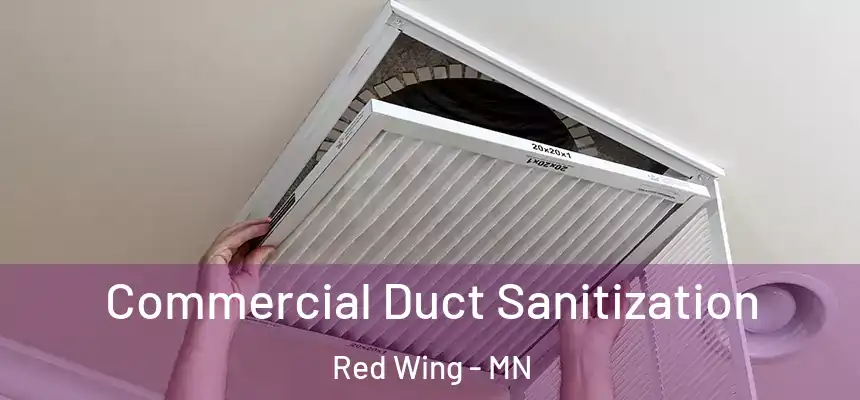 Commercial Duct Sanitization Red Wing - MN