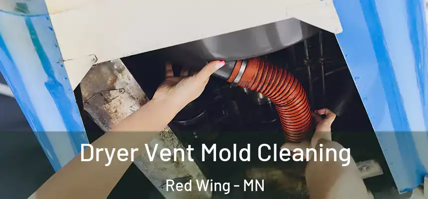 Dryer Vent Mold Cleaning Red Wing - MN