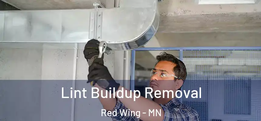 Lint Buildup Removal Red Wing - MN