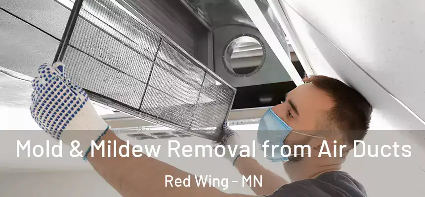 Mold & Mildew Removal from Air Ducts Red Wing - MN
