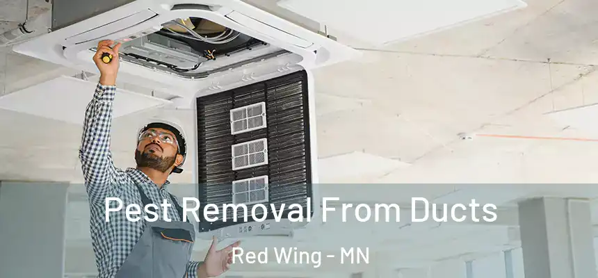 Pest Removal From Ducts Red Wing - MN