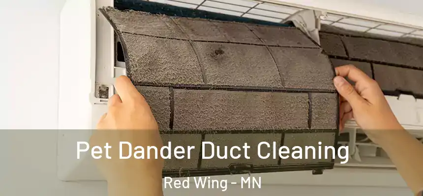 Pet Dander Duct Cleaning Red Wing - MN