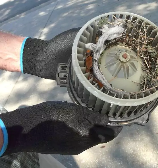 About Air Duct Rat Removal in Red Wing, MN