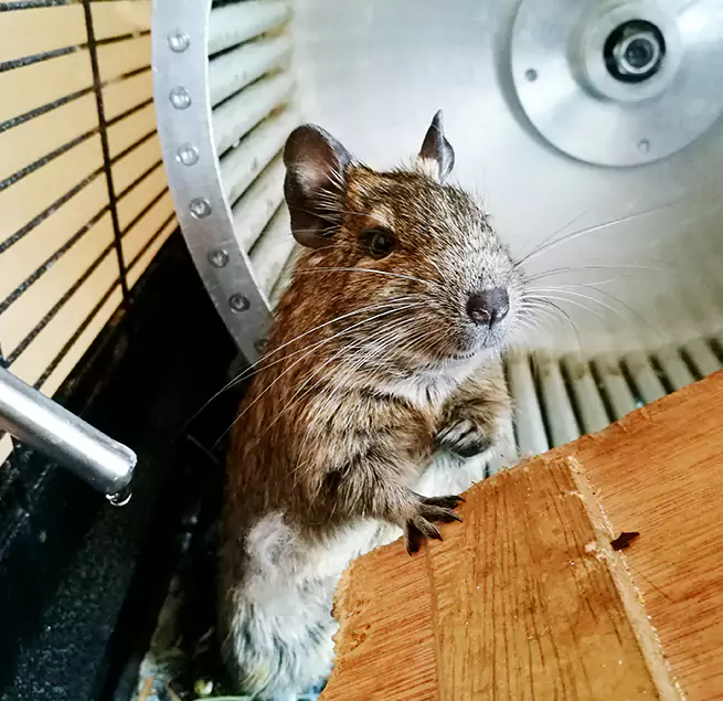 Why Homeowners & Businesses Trust Us Red Wing, MN